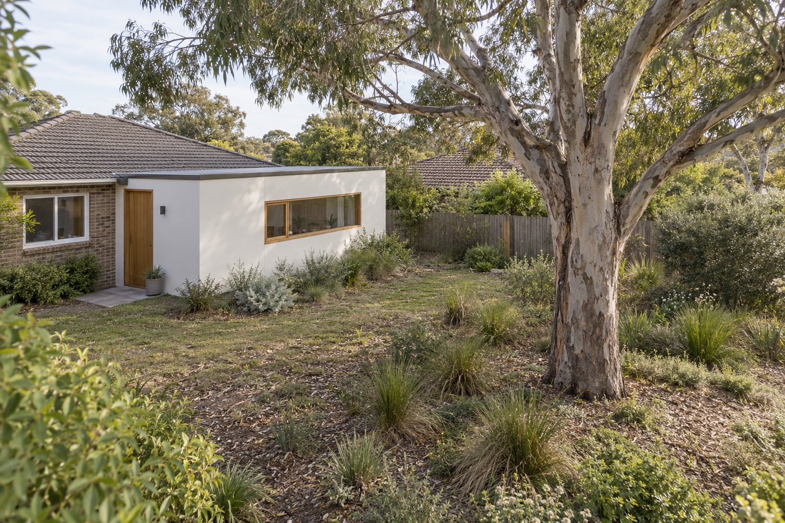 Mature gum-like garden tree in unpaved soil beside a compact white addition to a low brick house, with a timber door and horizontal window.